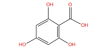 2,4,6-Trihydroxybenzoic acid